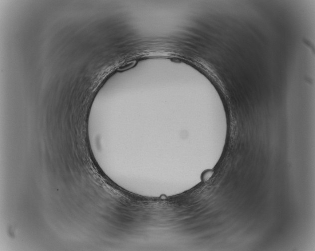 X0000100410385200806271448