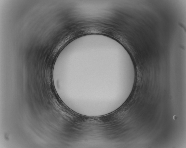 X0000100410386200806271448