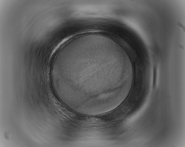 X0000100410387200806271448