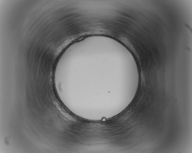 X0000100410389200806271448