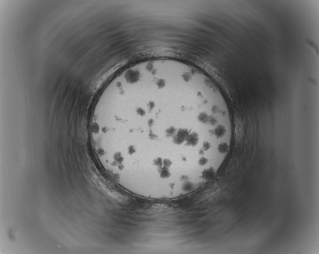 X0000100410390200806271448