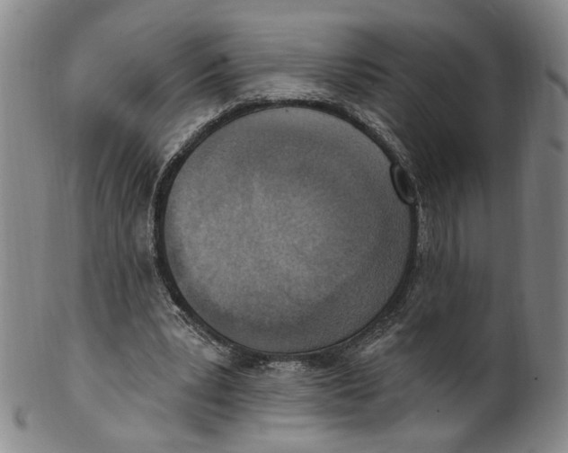 X0000100410391200806271448