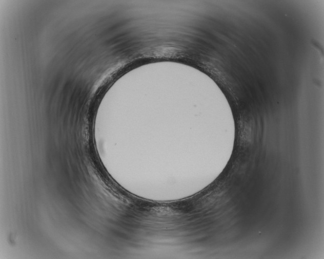 X0000100410392200806271448