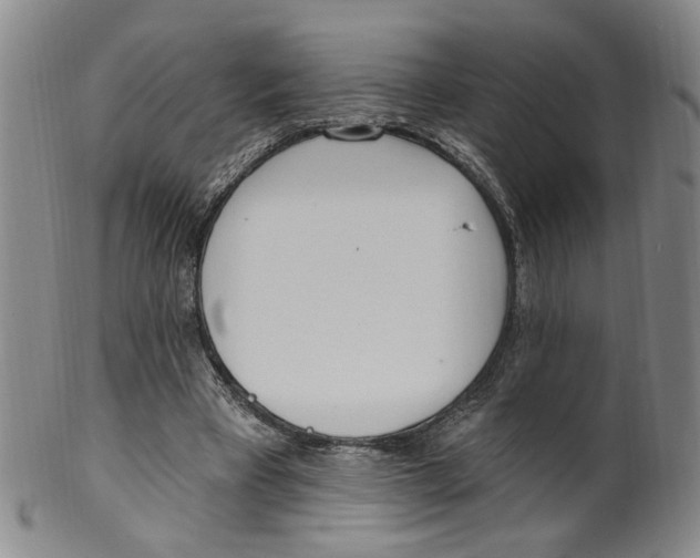 X0000100410393200806271448