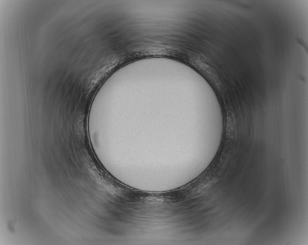 X0000100410394200806271448