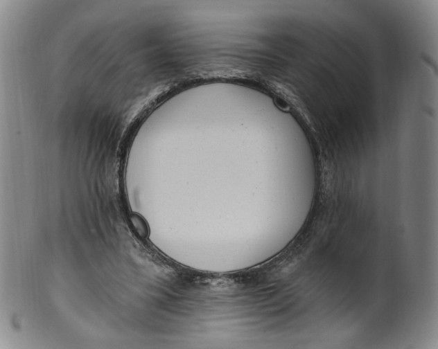 X0000100410395200806271448