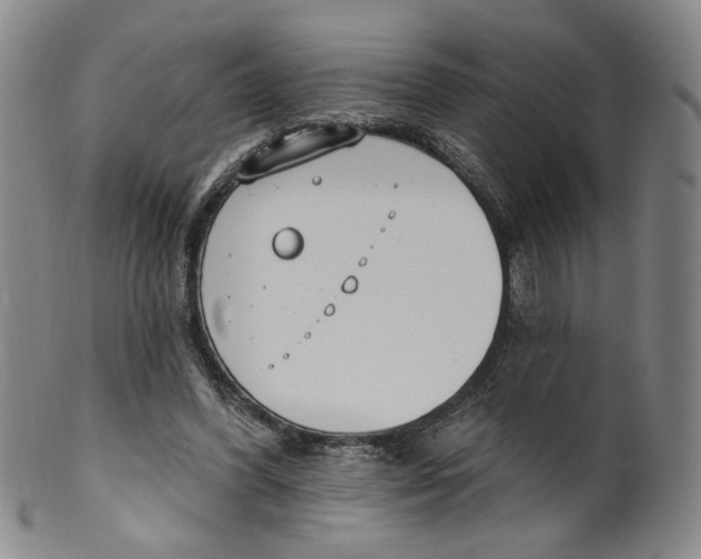 X0000100410396200806271448