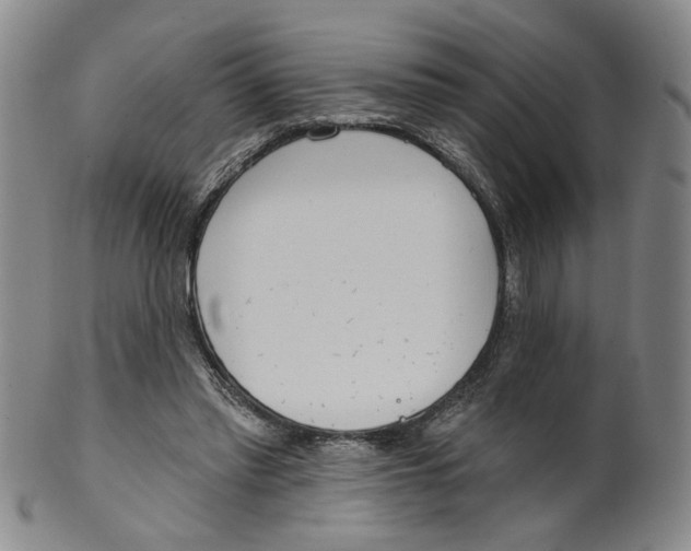 X0000100410397200806271448