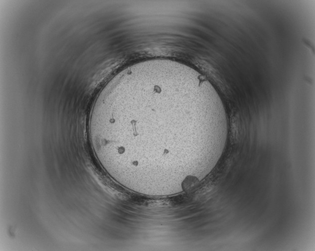 X0000100410398200806271448