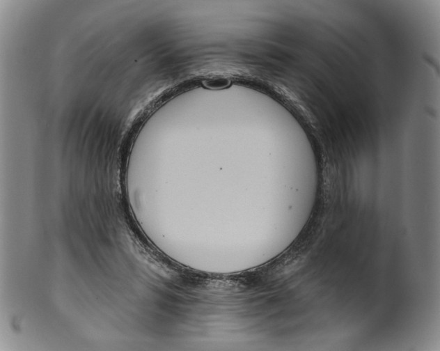 X0000100410399200806271448