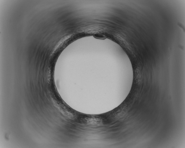 X0000100410400200806271448