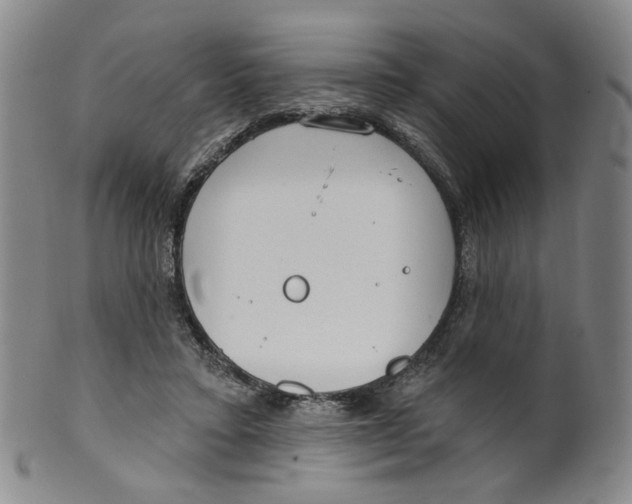 X0000100410403200806271448