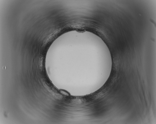 X0000100410404200806271448