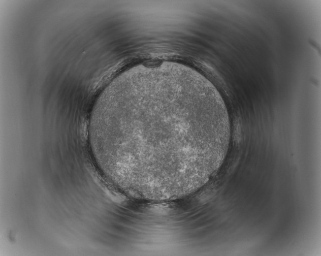 X0000100410405200806271448