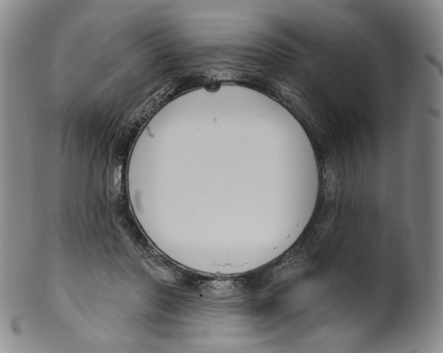 X0000100410406200806271448