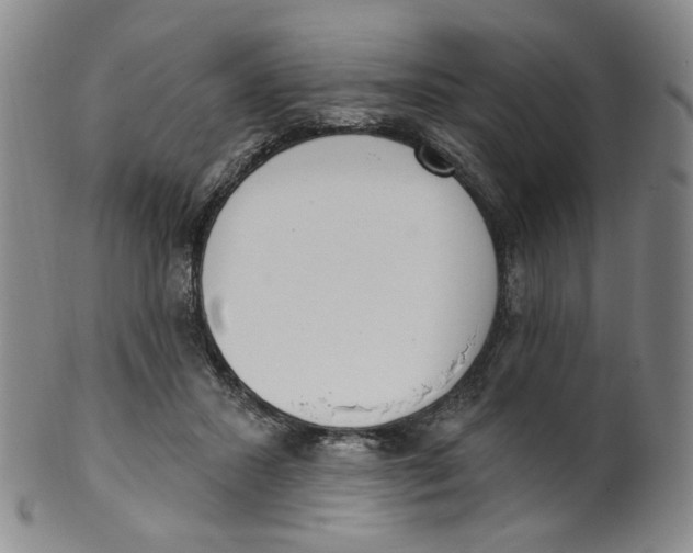 X0000100410407200806271448