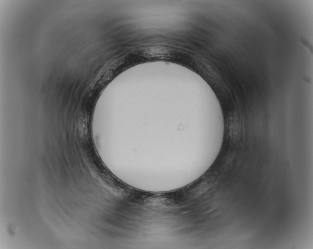 X0000100410408200806271448