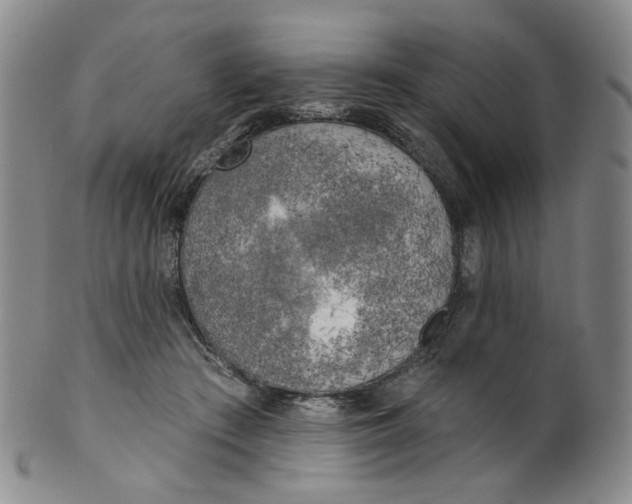 X0000100410409200806271448