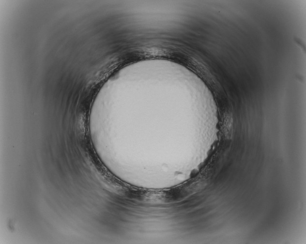 X0000100410410200806271448