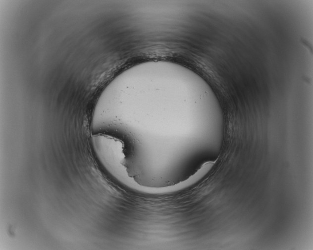 X0000100410411200806271448