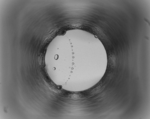 X0000100410412200806271448