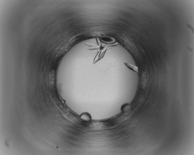 X0000100410413200806271448