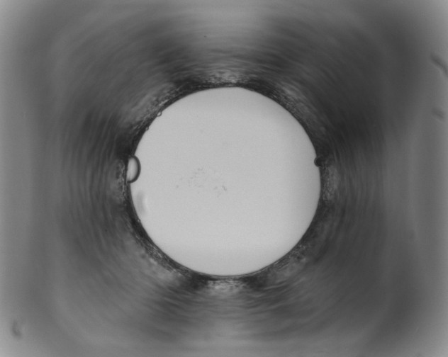 X0000100410414200806271448