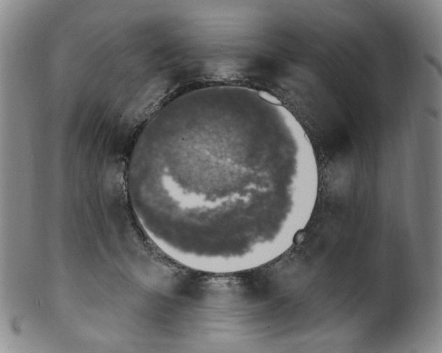 X0000100410415200806271448