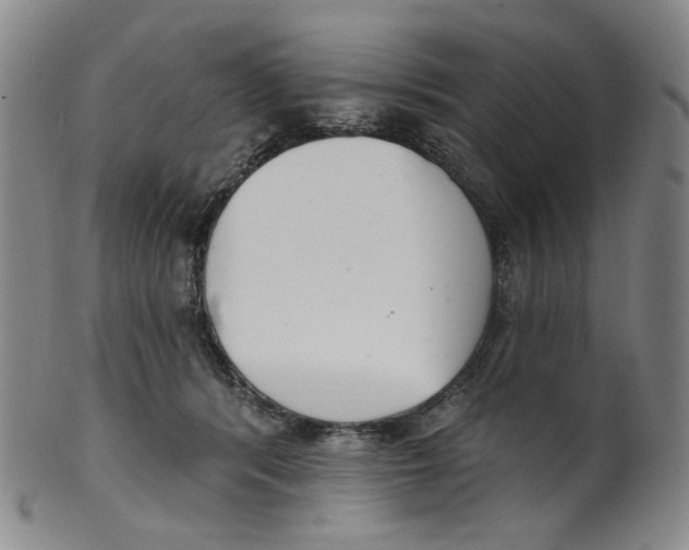 X0000100410416200806271448