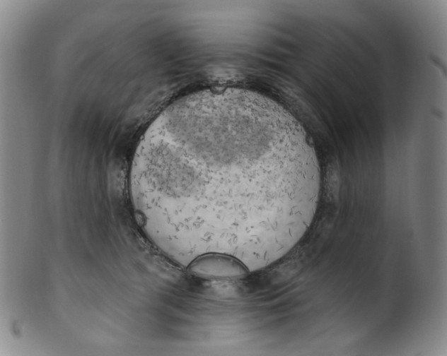 X0000100410417200806271448