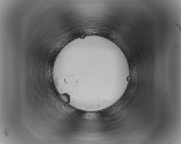 X0000100410418200806271448