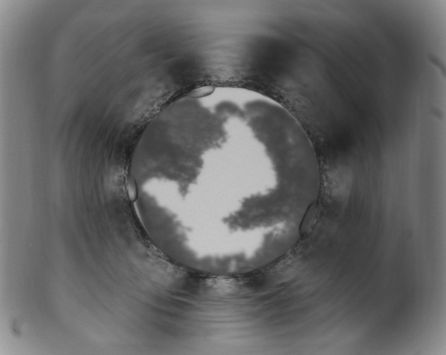 X0000100410419200806271448