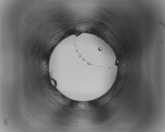 X0000100410420200806271448