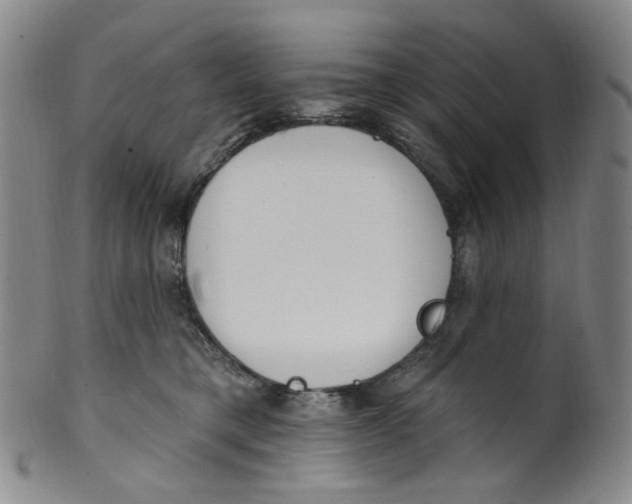 X0000100410421200806271448