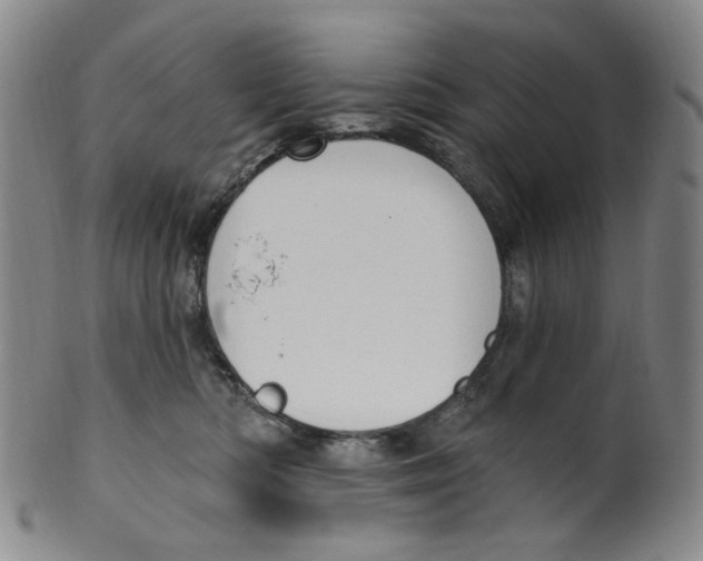 X0000100410422200806271448