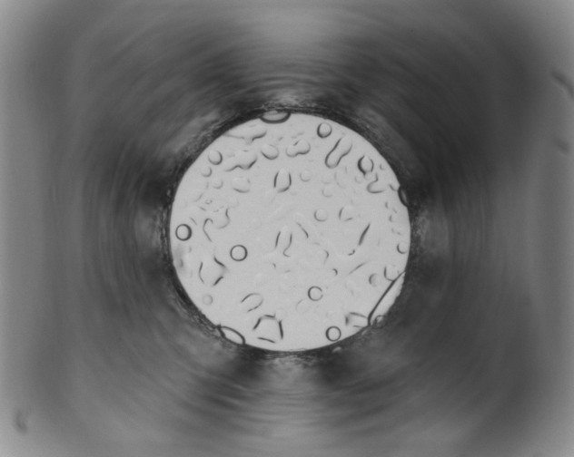 X0000100410423200806271448