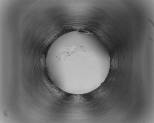 X0000100410424200806271448