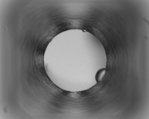 X0000100410425200806271448