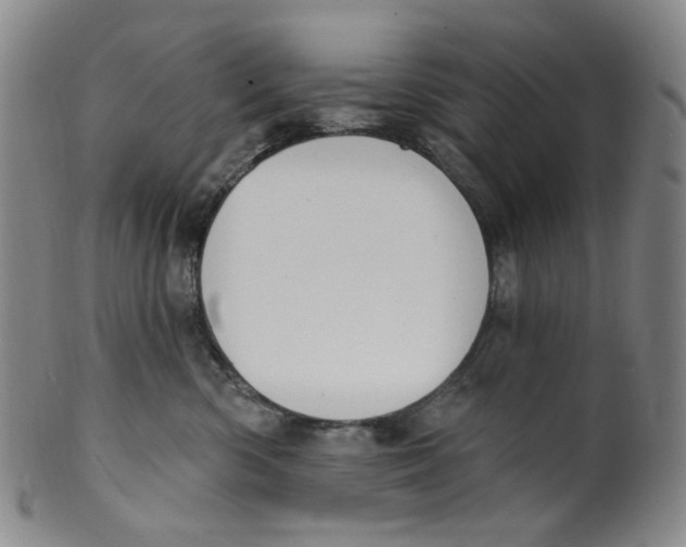 X0000100410426200806271448