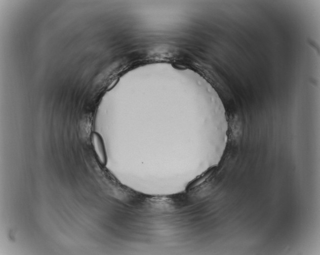 X0000100410427200806271448