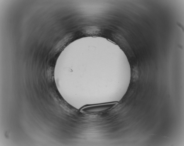 X0000100410428200806271448