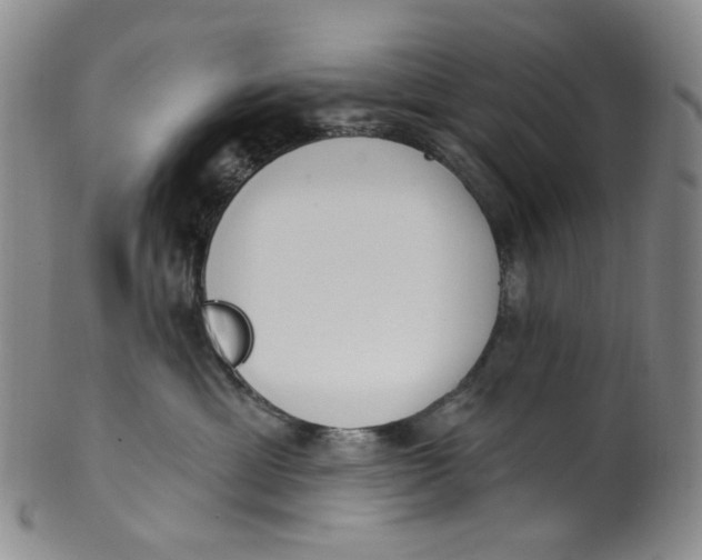 X0000100410429200806271448