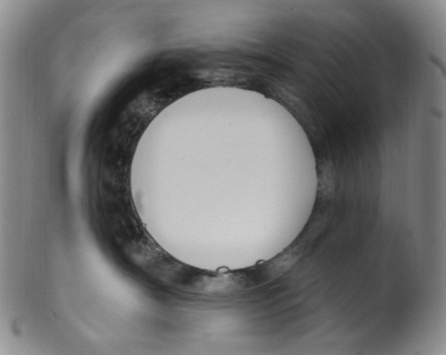 X0000100410430200806271448