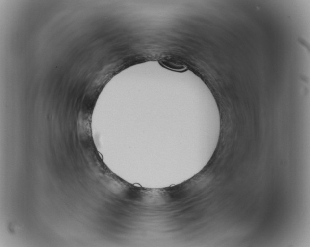 X0000100410432200806271448