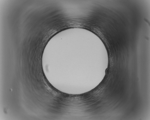 X0000100410433200806271447