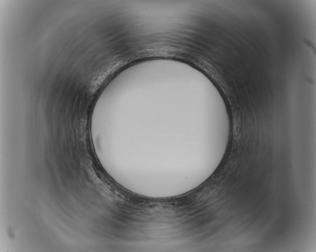 X0000100410434200806271447