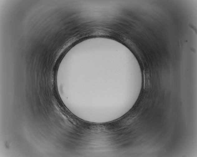 X0000100410435200806271447