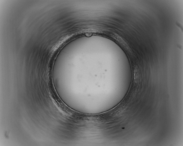 X0000100410436200806271447