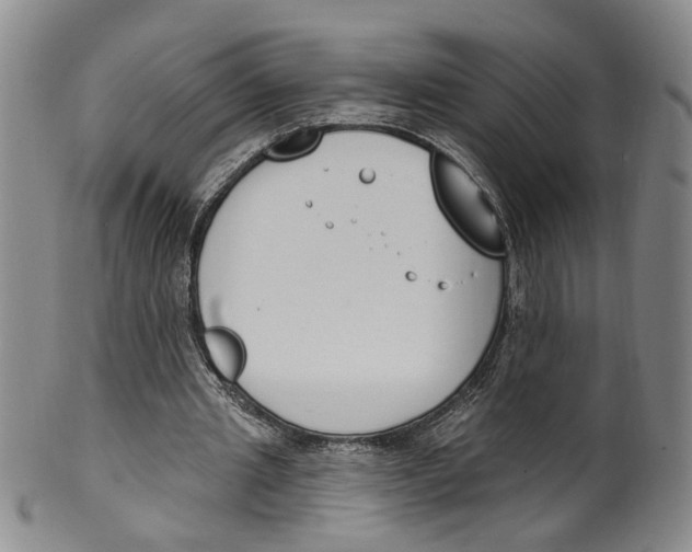 X0000100410437200806271447