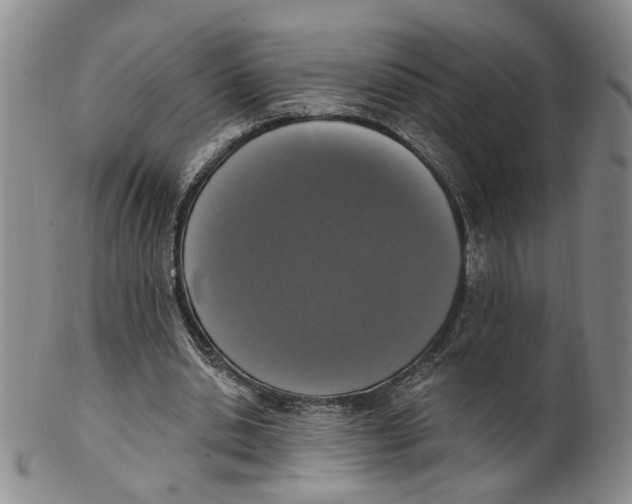 X0000100410438200806271447